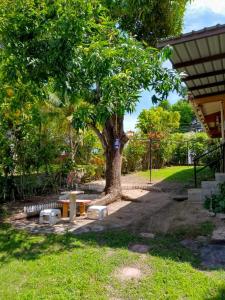 een boom in een park met bankjes eronder bij La casa de Sonia in El Perico