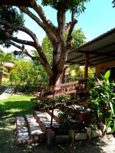 een bankje onder een boom naast een huis bij La casa de Sonia in El Perico