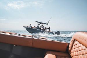 Naturlandskabet i nærheden af lejligheden