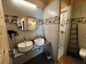een badkamer met twee wastafels en een spiegel bij Chalets à Saint Jean d'Aulps - BAS THEX MAE-3891 in Seytroux