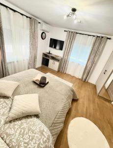 En eller flere senge i et værelse på Cameră dublă cu baie privată externă