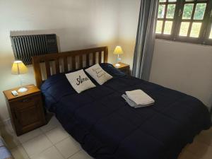 una camera da letto con un letto blu con sopra degli asciugamani di Lo de Toty 1 a Yapeyú