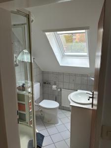 ein Badezimmer mit einem WC und einem Waschbecken mit einem Dachfenster in der Unterkunft Harz-Urlaub-Altenau - Hunde willkommen in Altenau + 54 Fotos