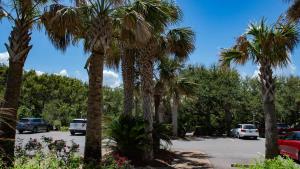 Zahrada ubytování Surf & Racquet Club A124-Condo + 21 fotografií