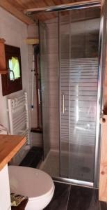 ein Badezimmer mit Toilette und Glasdusche in der Unterkunft Chalets à Chamrousse - Chalet des lupins - Chalet 1P2 MAE-3173 in Chamrousse