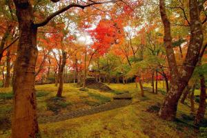 Zahrada ubytování Jemsty Inn Hakone Ashinoko