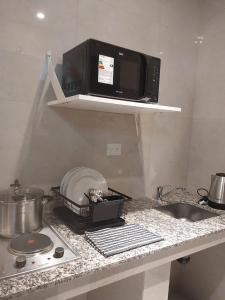 een magnetron op een plank boven een aanrecht bij Apart Stay in El Calafate