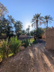 Zahrada ubytování Guest House Abde Rrahim Baallal + 75 fotografií