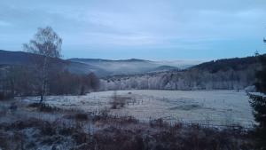 un campo innevato con alberi e montagne sullo sfondo di Apalupa na Hojsovce a Železná Ruda
