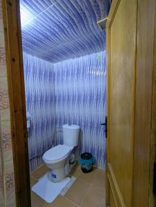 a bathroom with a toilet and a blue wall at The Guests Haven House - Heart Of Skoura in Skoura +47 photos