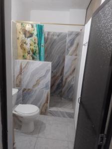 a bathroom with a toilet and a shower at Apto central 3 hab in Apartadó