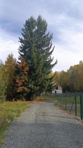 Fotografie z fotogalerie ubytování Apalupa na Hojsovce v destinaci Železná Ruda