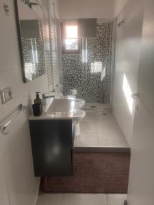 een badkamer met een wastafel, een toilet en een douche bij Terrazza Appia 112 in Potenza