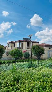 a building in front of a field of flowers at Paradiso Palazzo in Welkom