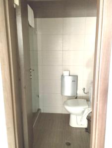 a bathroom with a white toilet and a shower at Luxury Chalet in Borovets, Rila Views & Fireplace in Borovets +25 photos