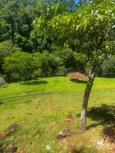 a tree in a field with a building in the background at Chalé Rio Capetinga 02 in Anchieta +7 photos