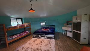 1 Schlafzimmer mit 2 Etagenbetten und grünen Wänden in der Unterkunft OneSeasonFarm in Chiang Saen