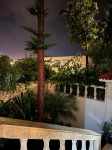 a bench in a garden with a palm tree at Harhoura stay in Temara