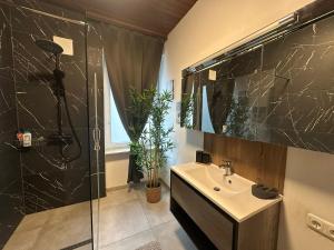 une salle de bain avec lavabo et douche dans l'établissement HONOR - Urban NEU RENOVIERT, à Linz 26 autres photos