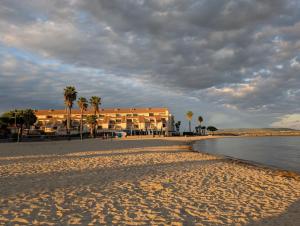 - un bâtiment sur une plage avec des palmiers et de l'eau dans l'établissement La Bella Vista - appartement classé 2 étoiles, à Mèze 7 autres photos