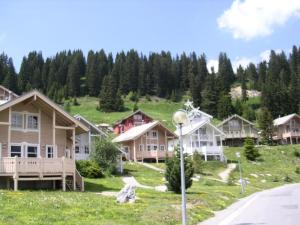 Naturlandskabet i nærheden af chaletet