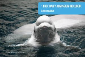 Dyr i feriehuset eller i nærheden