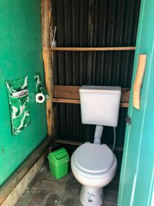 圣哈维尔Glamping Traslasierra Carpa Sur的一间带卫生间和绿色墙壁的浴室