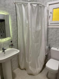 阿莱曼Halfmoon House- fully air-conditioned- مكيف بالكامل的配有水槽、马桶和浴帘的浴室