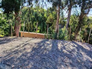 a gravel driveway with trees in the background at Lodge De Paradies in Quilpué +10 photos