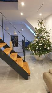 Billede fra billedgalleriet på ArtApart i Strzelce Opolskie + 22 billeder