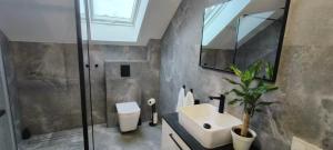 a bathroom with a sink and a toilet and a mirror at Wilga House 1 in Piła +52 photos