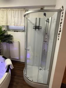 a shower with a glass enclosure in a bathroom at Private Spa Suite bei Heilbronn - Romantik, Wellness & absolute Privatsphäre in Massenbachhausen