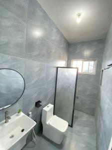 a bathroom with a toilet and a sink and a mirror at HalmaHome Two Bedroom Apartment in Zanzibar City +10 photos