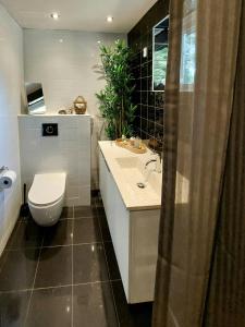 un baño con inodoro y lavabo en Retro Guest House Near Rebild Hills, en Hadsund