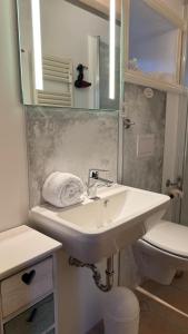 ein Badezimmer mit Waschbecken, Toilette und Spiegel in der Unterkunft Bi de ual Möhl in Boldixum