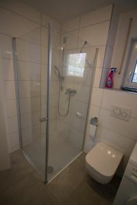un bagno con doccia e WC di BodenseeLicht Studio Tettnang a Tettnang