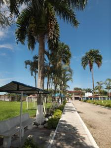 a park with a bench and palm trees on a street at Hotel Campestre Kosta Azul in Villavicencio