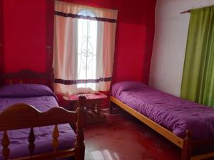 a bedroom with two bunk beds and a window at Nativas Cabaña Amarilla in Senador Pérez