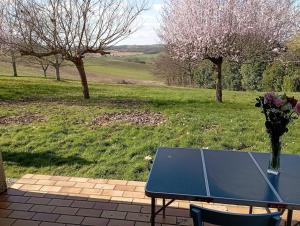 Stolní tenis v ubytování Appartement à la campagne nebo okolí