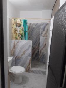 a bathroom with a toilet and a shower stall at Apto central 3 hab in Apartadó