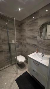a bathroom with a toilet and a sink and a shower at Chouette t2 Aiguebelle in Randens +21 photos