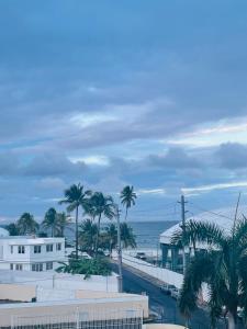 una vista di una spiaggia con palme e l'oceano di Aquamarine a San Juan