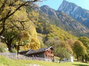 een huis in een veld met een berg op de achtergrond bij I in the Anton house in Obermaiselstein