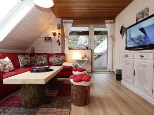 een woonkamer met een rode bank en een flatscreen-tv bij Haldenhäusle Black Forest in Oberschwärzenbach