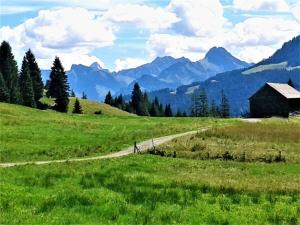 Příroda nedaleko prázdninového domu + 11 fotografií