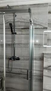 eine Dusche mit Glastür im Badezimmer in der Unterkunft Luxueux t3 Aiguebelle in Randens