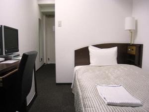 TV a/nebo společenská místnost v ubytování Tachikawa Urban Hotel