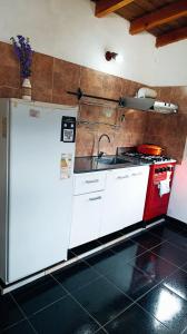 een keuken met een spoelbak en een aanrechtblad bij Nuestro Lugar in El Bolsón