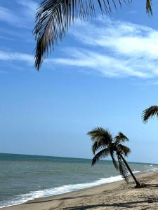 Příroda nedaleko prázdninového domu