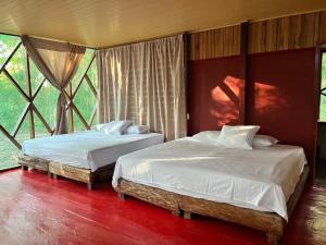 2 letti posti in una stanza con finestre di Tekuna a Leticia